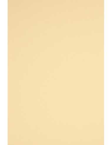 Barevný hladký Dekorační papír Rainbow 230g R03 krémový pak. 20A4