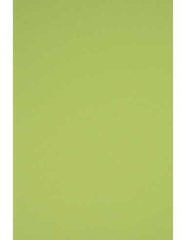 Barevný hladký Dekorační papír Rainbow 230g R74 světle zelený pak. 20A4
