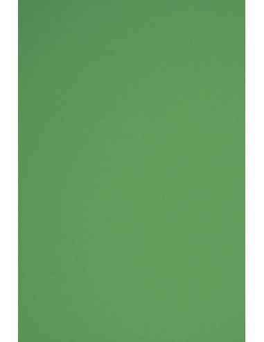 Barevný hladký Dekorační papír Rainbow 230g R78 tmavý zelený pak. 20A4