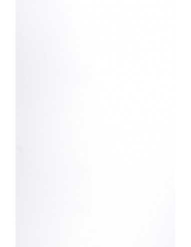 Texturovaný barevný dekorativní papír Curious Matter 135g Goya White bílý pak. 10A4
