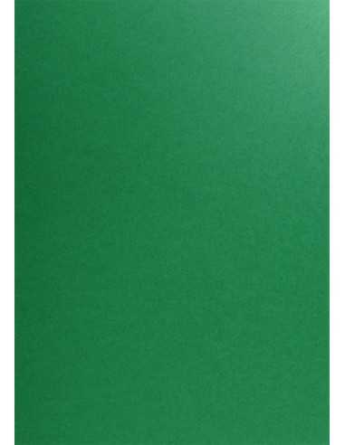 Barevný hladký Dekorační papír Popset Virgin 240g Cactus Green zelený pak. 10A4