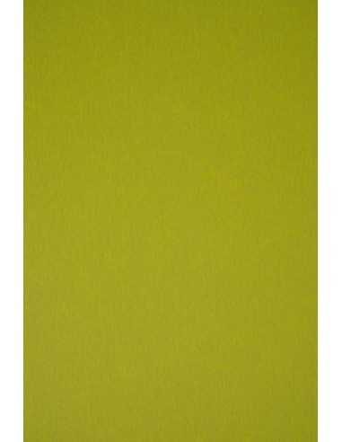 Dekorační barevný hladký ekologický papír Keaykolour 300g Kiwi zelený pak. 10A4