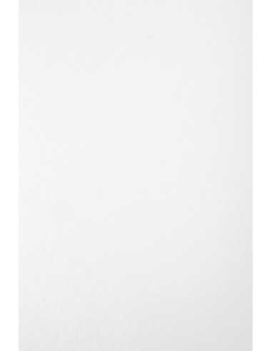 Barevný hladký Dekorační mramorový papír Aster Laguna 180g White biały pak. 20A4