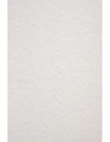 Barevný hladký Dekorační mramorový papír Aster Laguna 180g Grey jasny szary pak. 20A4