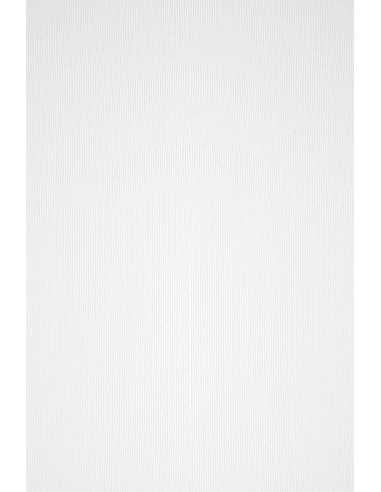 Texturovaný barevný dekorativní pruhovaný papír Acquerello 100g Bianco bílý pak. 50A4