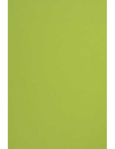Barevný hladký Dekorační papír Sirio Color 115g Lime světle zelený pak. 50A4