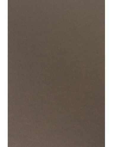 Barevný hladký Dekorační papír Sirio Color 115g Caffe hnědý pak. 50A4