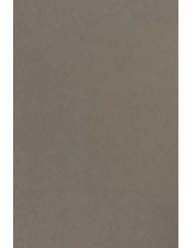 Barevný hladký Dekorační papír Sirio Color 115g Pietra ąedý pak. 50A4