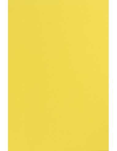 Barevný hladký Dekorační papír Sirio Color 115g Limone ľlutý pak. 50A4