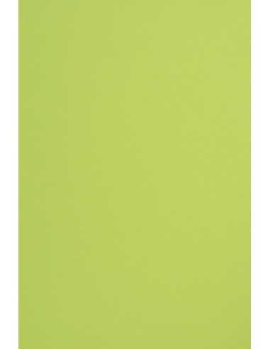 Barevný hladký Dekorační papír Sirio Color 170g Lime zelený pak. 20A4