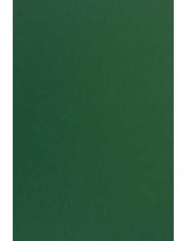 Barevný hladký Dekorační papír Sirio Color 170g Foglia tmavý zelený pak. 20A4
