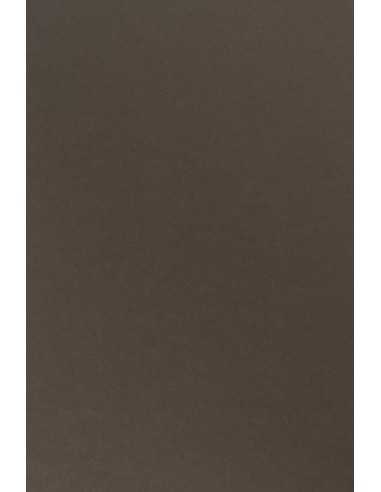 Barevný hladký Dekorační papír Sirio Color 170g Caffe hnědý pak. 20A4