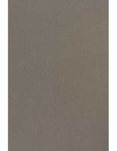 Barevný hladký Dekorační papír Sirio Color 170g Pietra ąedý pak. 20A4
