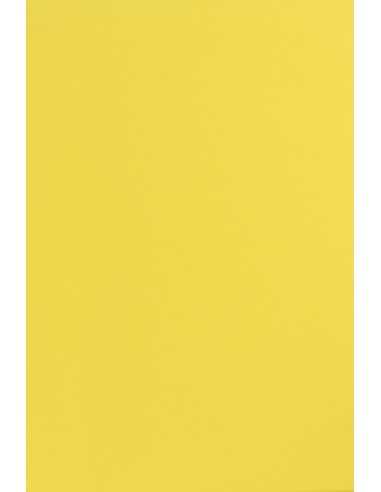 Barevný hladký Dekorační papír Sirio Color 170g Limone ľlutý pak. 20A4