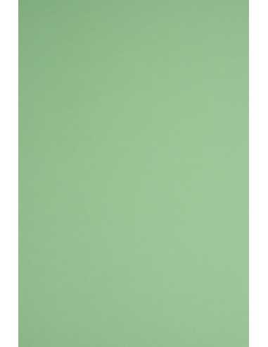 Dekorační barevný hladký ekologický papír Woodstock 170g Verde zelený pak. 20A4