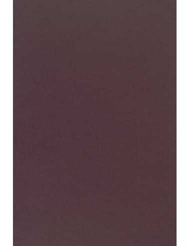 Barevný hladký Dekorační papír Sirio Color 210g Vino tmavý fialový pak. 25A4