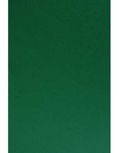 Barevný hladký Dekorační papír Sirio Color 210g Foglia tmavý zelený pak. 25A4