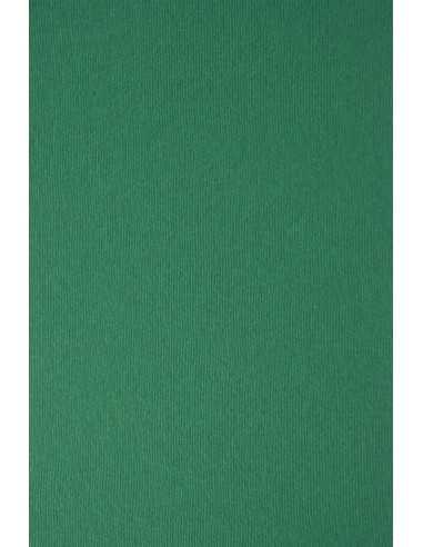 Texturovaný barevný dekorativní pruhovaný papír Nettuno 280g Verde Foresta tmavý zelený pak. 10A4