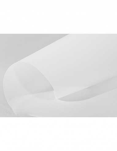 Hladký Dekorační transparentní papír Golden Star 100g White 250 A3
