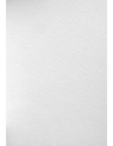 Papier ozdobny gruby Wild 450g White biały 72x102 R25
