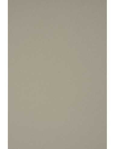 Papier ozdobny gładki kolorowy ekologiczny Materica 360g Clay szary 72x102 R75