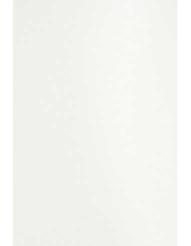 Perleťový metalizovaný dekorativní papír Curious Translucents 100g Pearl White 70x100 R250