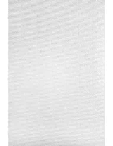 Dekorační papír hladký barevný mramorovaný Aster Laid 120g White 70x100 R200