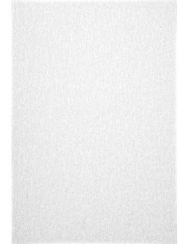 Hladký Dekorační transparentní papír Pergamenata 110g Bianco White 70x100