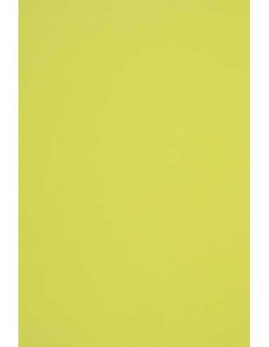 Dekorační barevný hladký ekologický papír Woodstock Pistacchio 140g 70x100