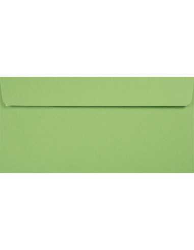 Ozdobná hladká jednobarevné ekologické obálka DL 11x22 HK Kreative Apple zelená 120g