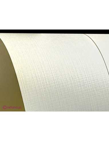 Texturovaný dekorativní papír Aster 250g Grid krém 61x86