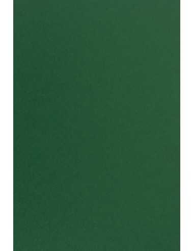 Barevný hladký Dekorační papír Sirio Color 115g Foglia 70x100 R250