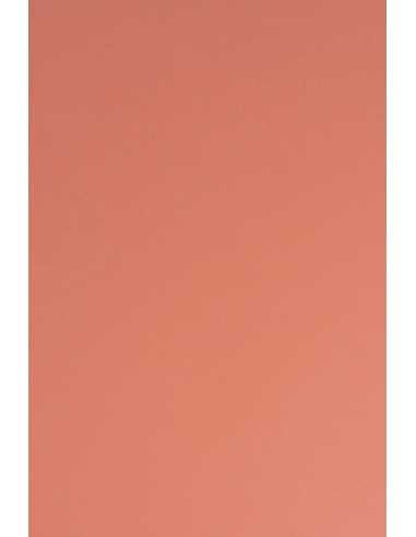 Barevný hladký Dekorační papír Sirio Color 115g Flamingo červený pak. 50A4