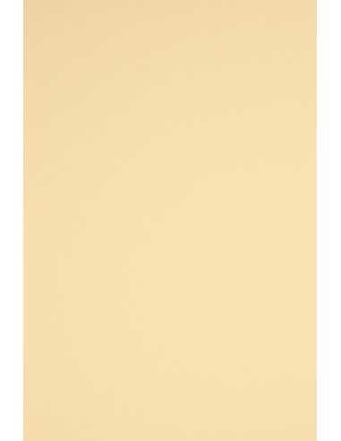 Barevný hladký Dekorační papír Rainbow 230g R03 krémový pak. 10A3