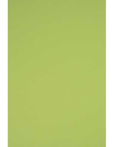 Barevný hladký Dekorační papír Rainbow 230g R74 světle zelený pak. 10A3