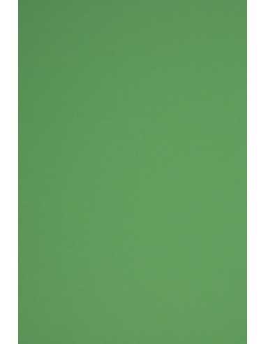 Barevný hladký Dekorační papír Rainbow 230g R78 tmavý zelený pak. 10A3