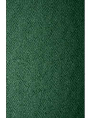 Barevný texturovaný Dekorační papír Prisma 220g Pino tmavý zelený pak. 10A3