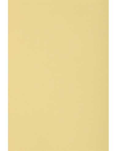 Barevný hladký Dekorační papír Burano 250g Camoscio B02 vanilkový pak. 10A3