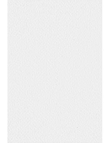 Barevný texturovaný Dekorační papír Tintoretto 250g Gesso bílý pak. 10SRA3