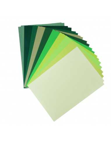 Sestava hladký papír barevné zelený pak. 20A5