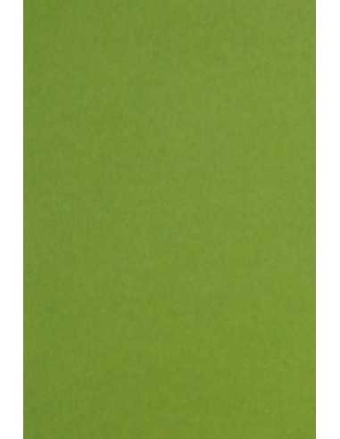 Dekorační barevný hladký ekologický papír Keaykolour 300g Meadow zelený pak. 10A4