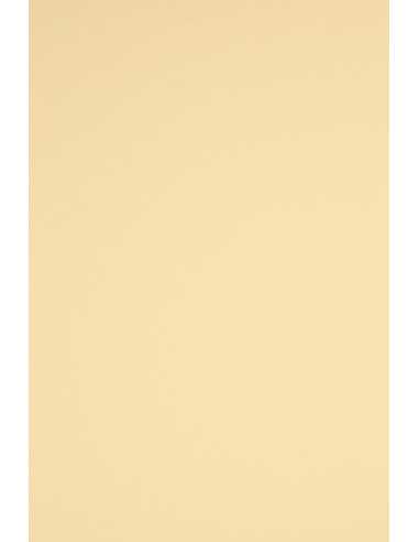 Barevný hladký Dekorační papír Rainbow 230g R03 krémový pak. 10A5