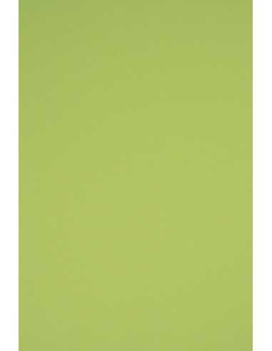 Barevný hladký Dekorační papír Rainbow 230g R74 světle zelený pak. 10A5