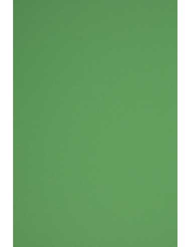 Barevný hladký Dekorační papír Rainbow 230g R78 tmavý zelený pak. 10A5
