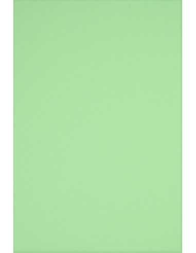 Barevný hladký Dekorační papír Rainbow 230g R75 zelený pak. 20A4