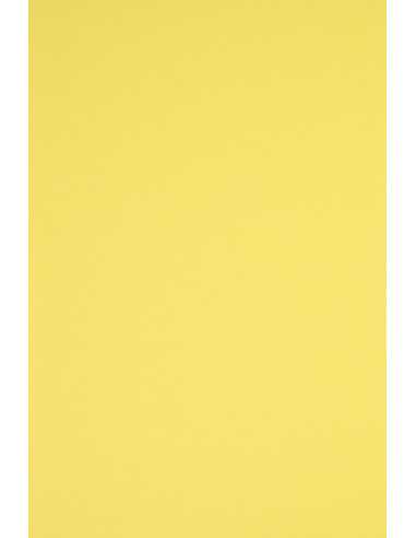 Duhový papír 160g R16 žlutý 45x64 balení po 10 ks