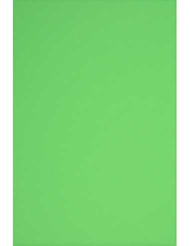 Barevný hladký Dekorační papír Rainbow 230g R76 zelený pak. 10A3