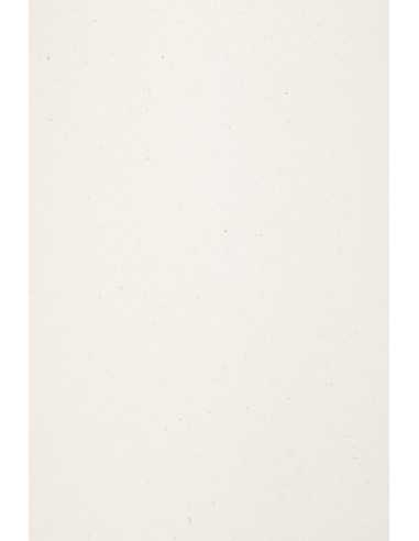 Papier ozdobny gładki ekologiczny Freelife Kendo 300g White biały z wtrąceniami 70x100cm R100