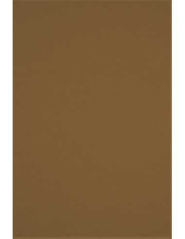 Papier ozdobny gładki kolorowy ekologiczny Keaykolour 300g Recycled Hazel jasny brązowy 70x100 R100