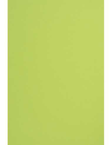 Dekorativní papír Sirio Color 115g Lime v balení. 50A5